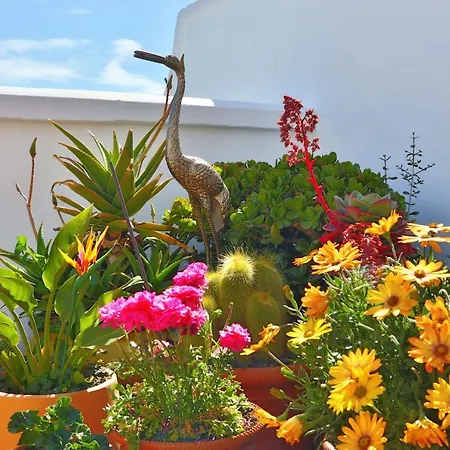 Apartment Rabat, Nerja
