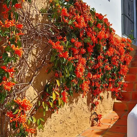 Rabat, * Nerja